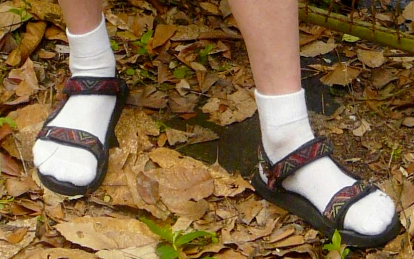 https://en.wikipedia.org/wiki/Socks_and_sandals
